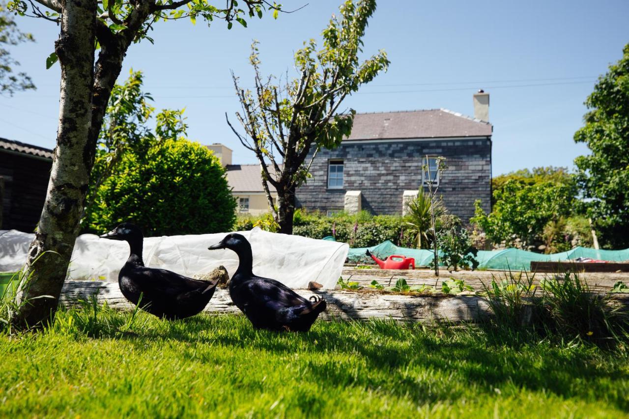 Penrhiw Farm Affittacamere *